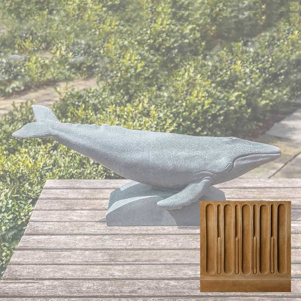 Humpback Whale - Image 11