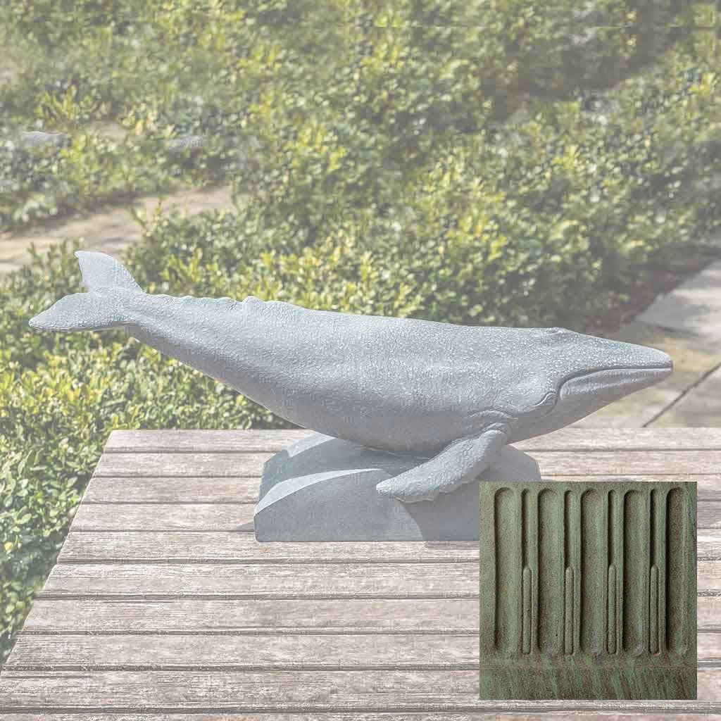 Humpback Whale - Image 5