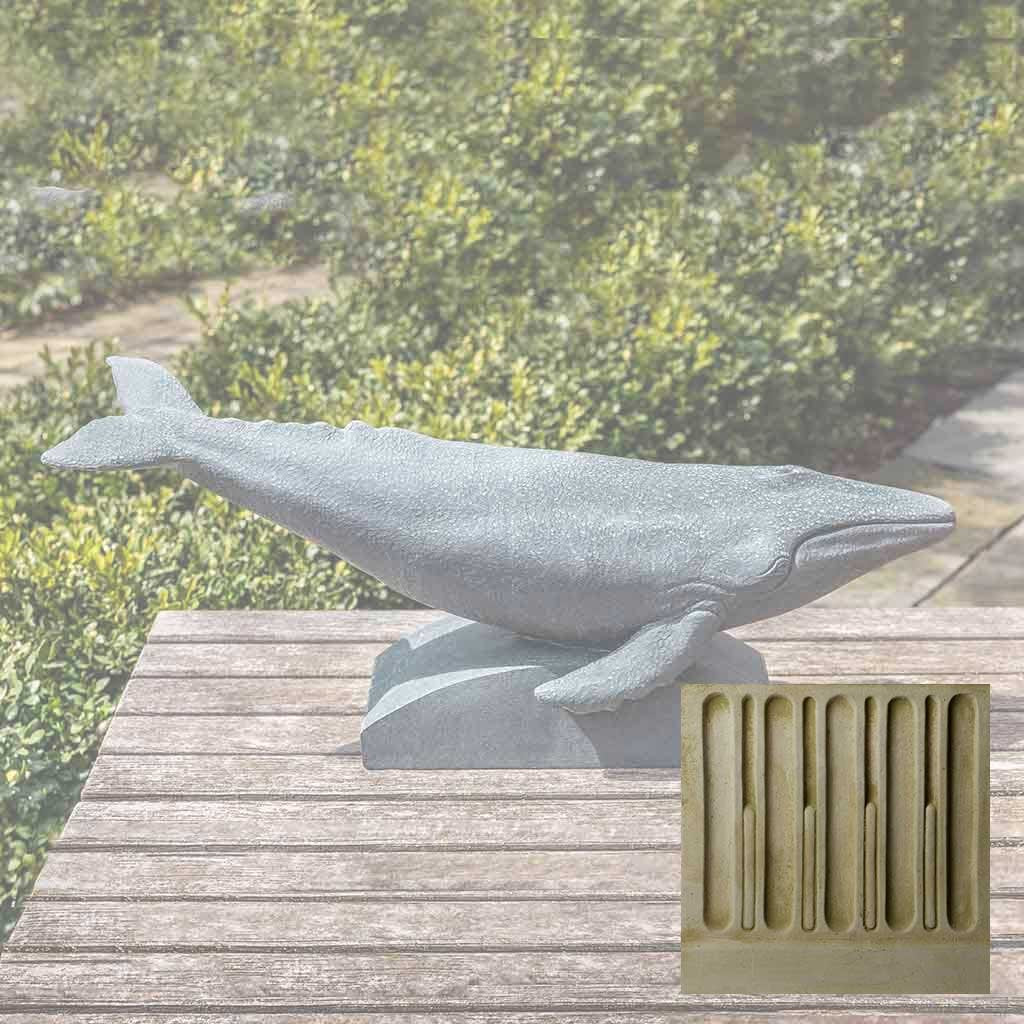 Humpback Whale - Image 6