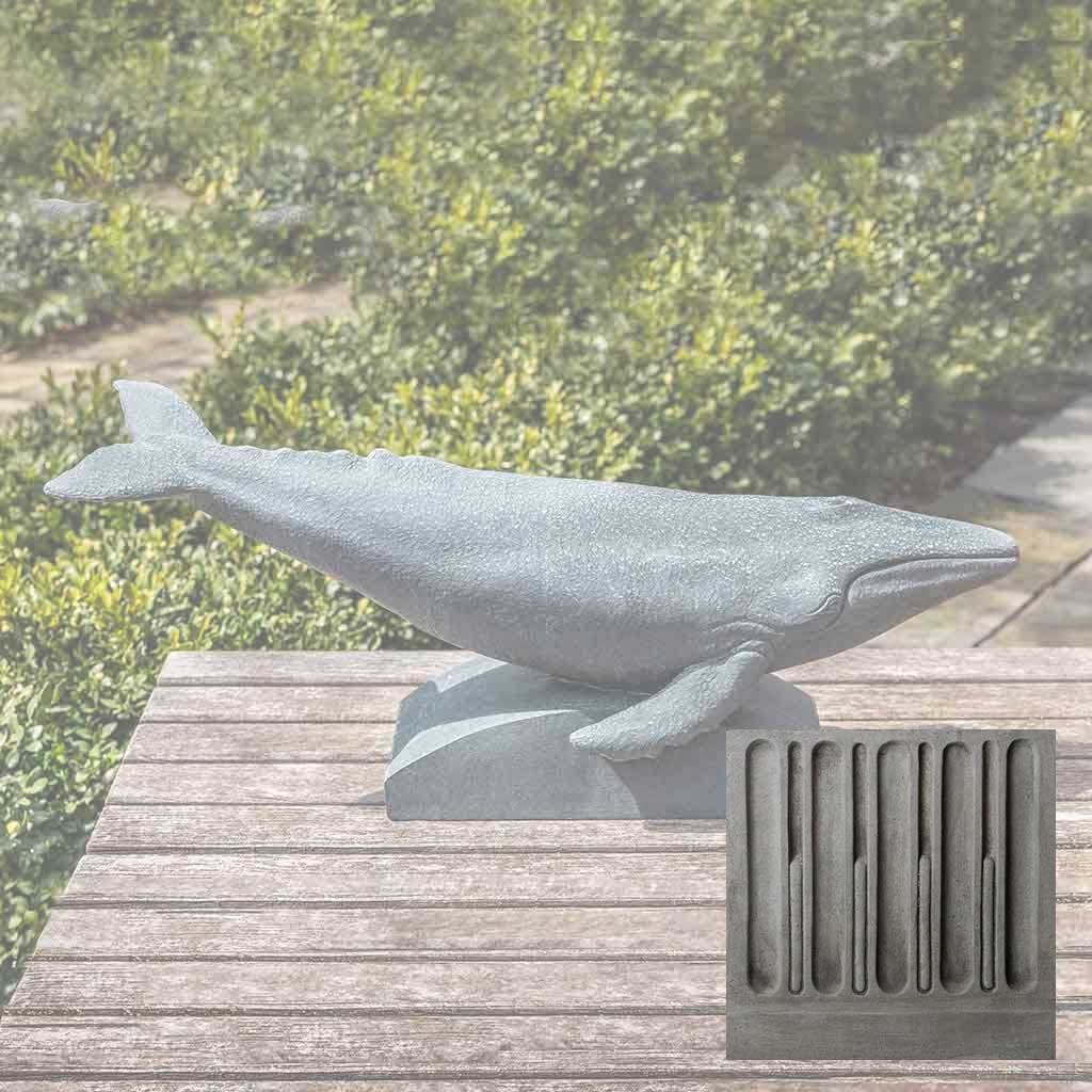 Humpback Whale - Image 8