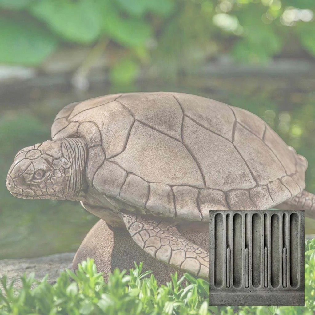 Large Sea Turtle - Image 3