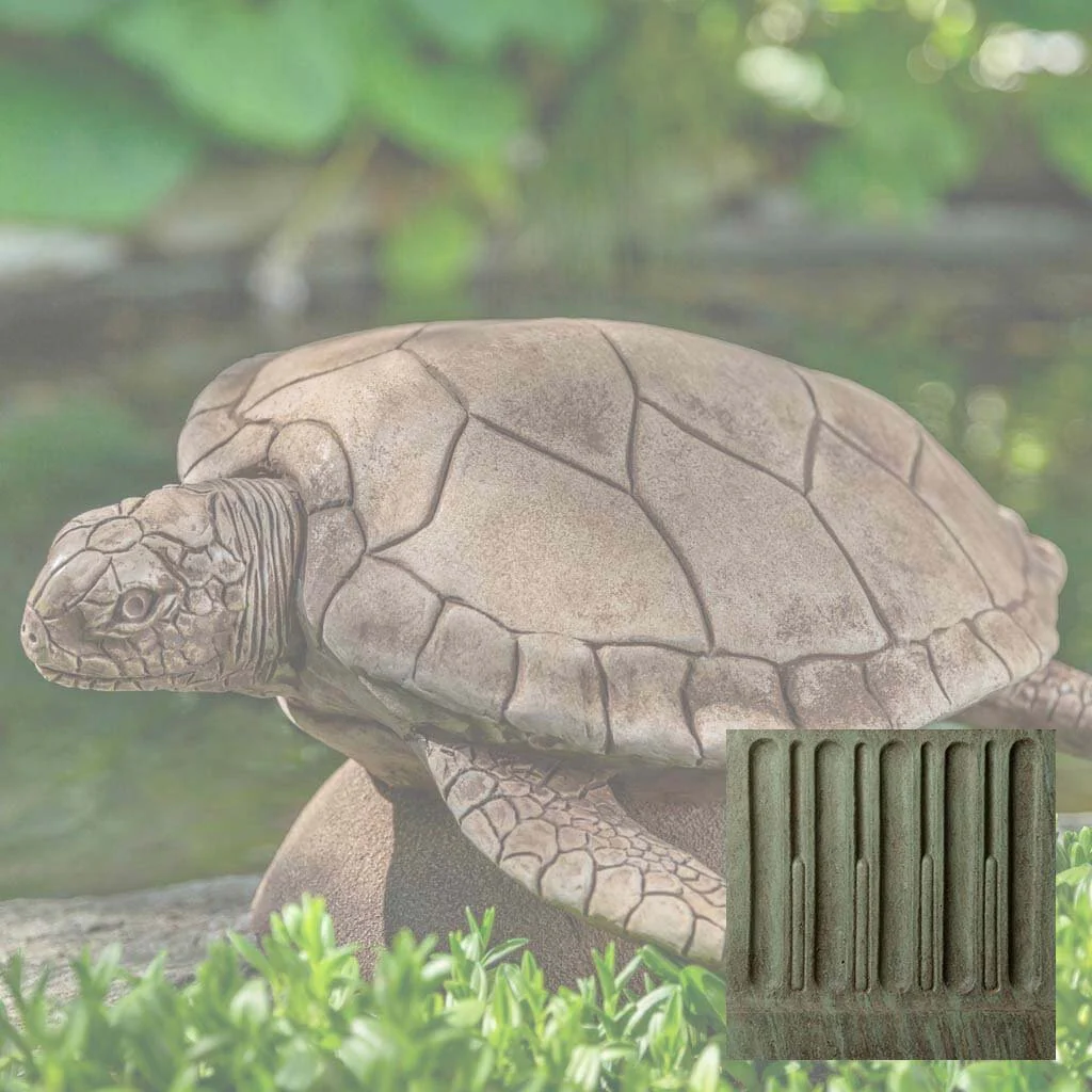 Large Sea Turtle - Image 4