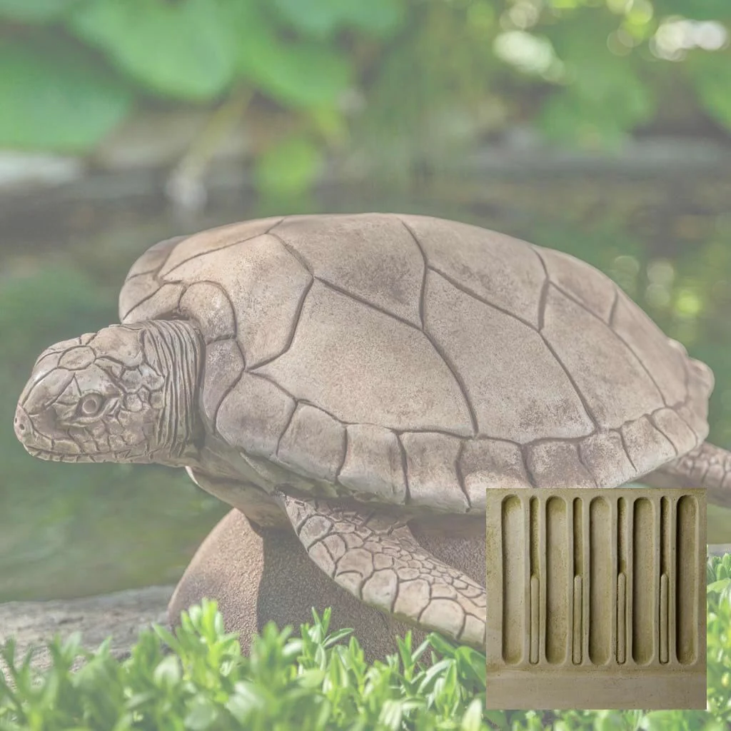 Large Sea Turtle - Image 5