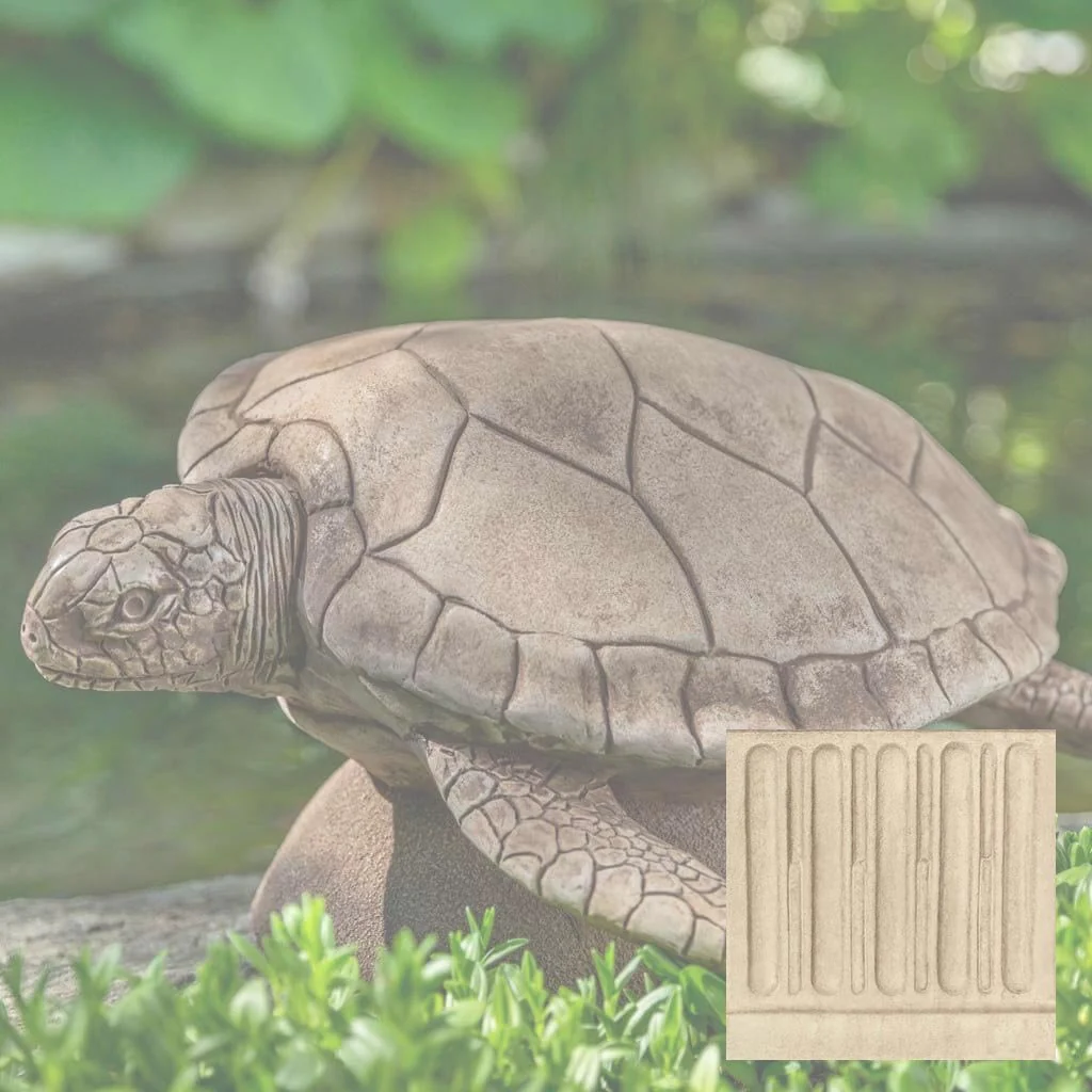 Large Sea Turtle - Image 7