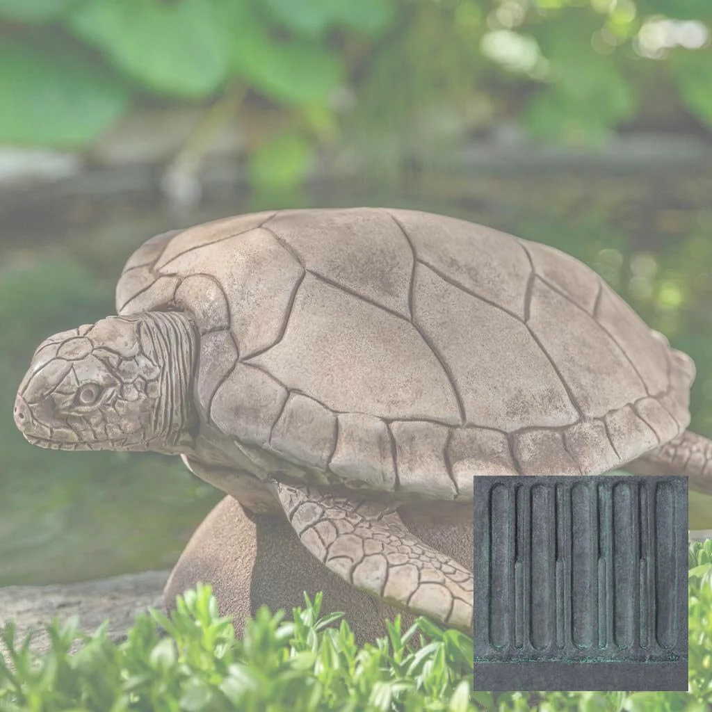 Large Sea Turtle - Image 9