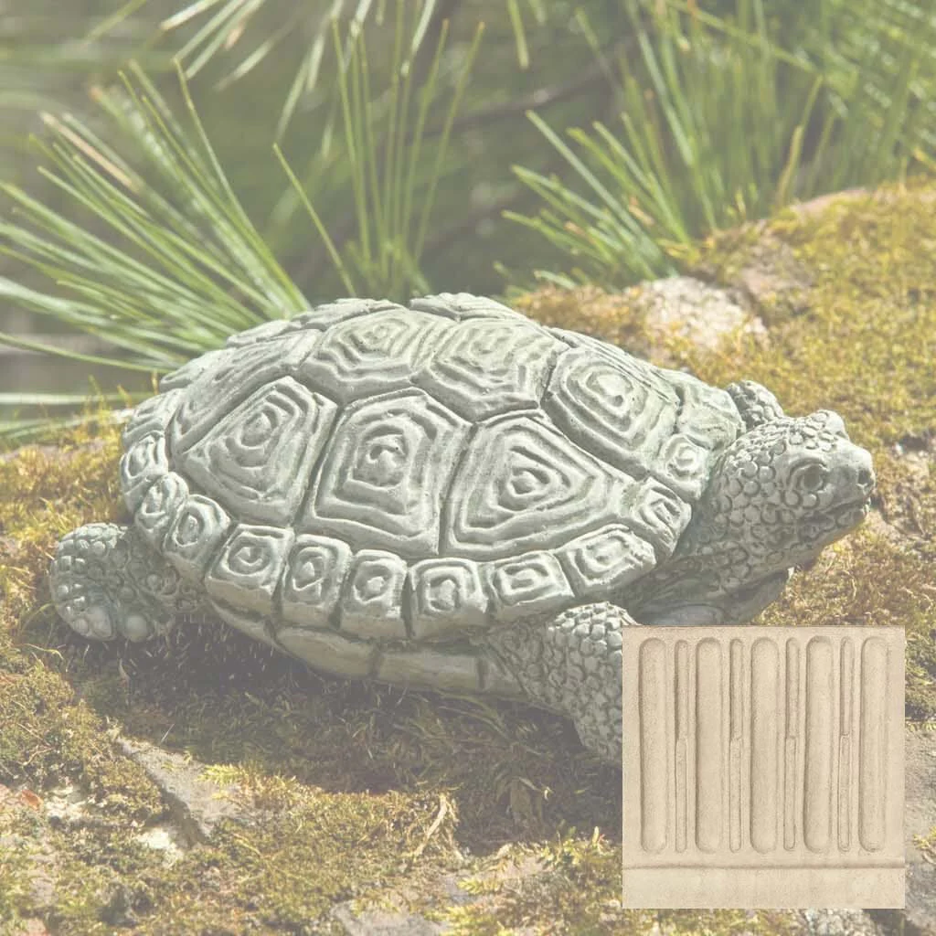 My Pet Turtle - Image 12