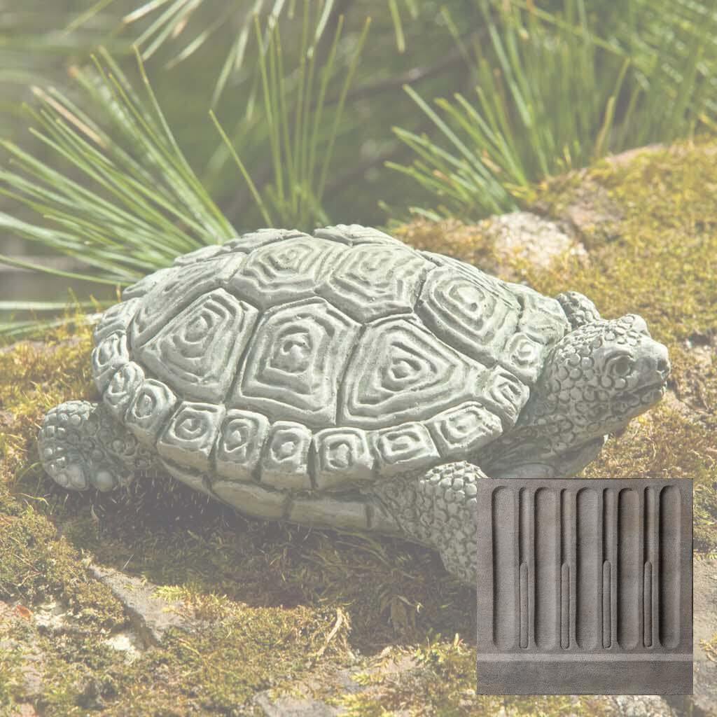 My Pet Turtle - Image 14