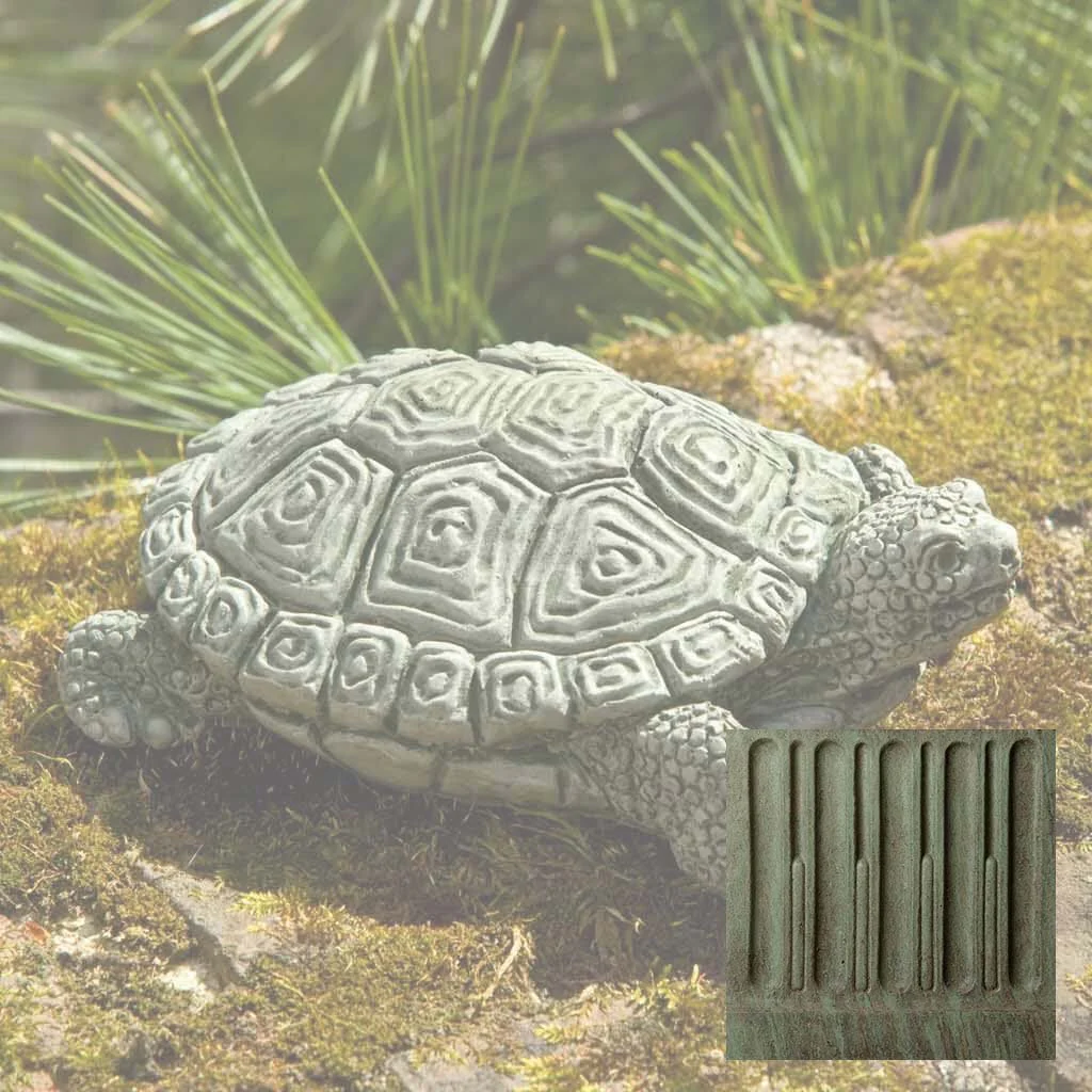 My Pet Turtle - Image 4