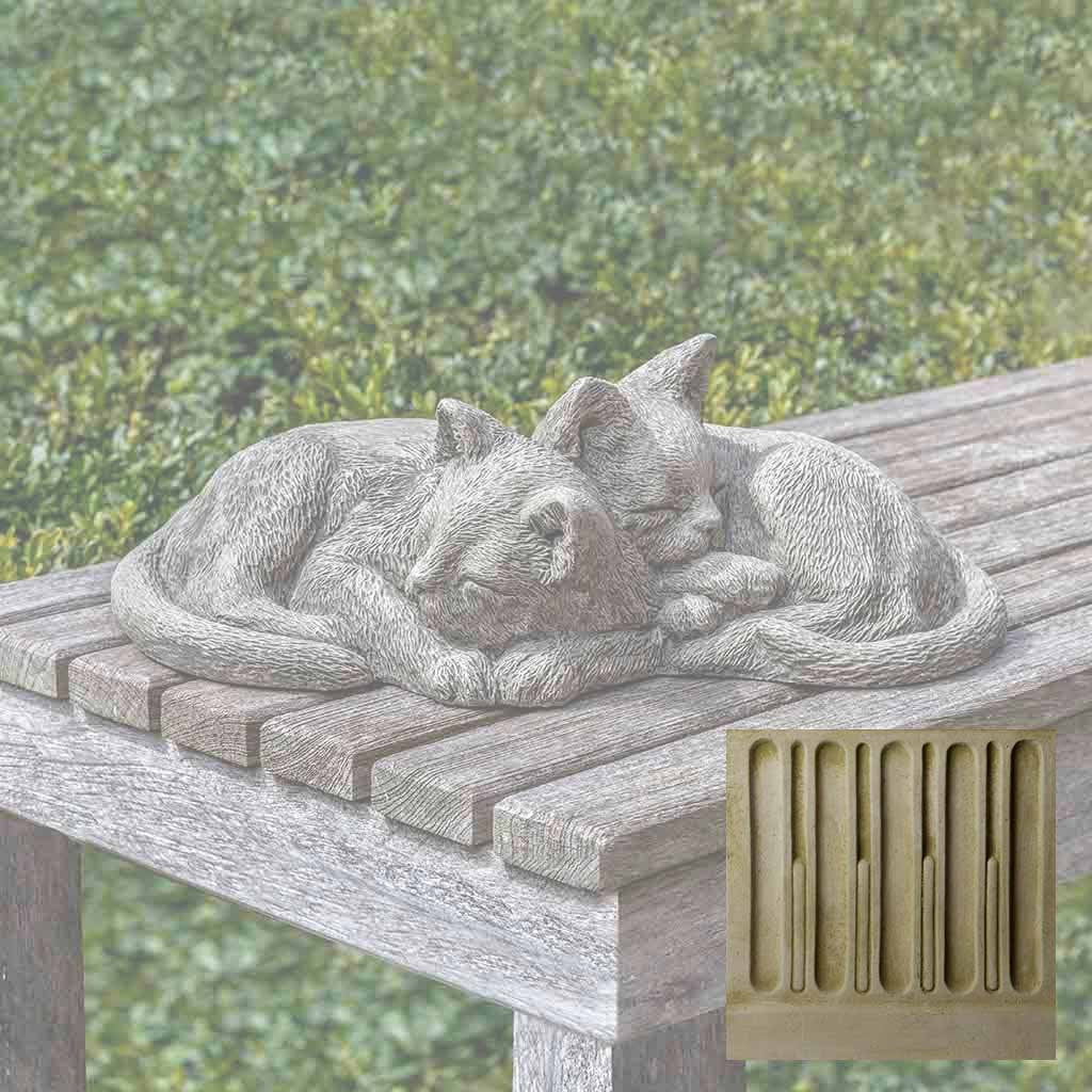 Nap Time Kittens - Image 5