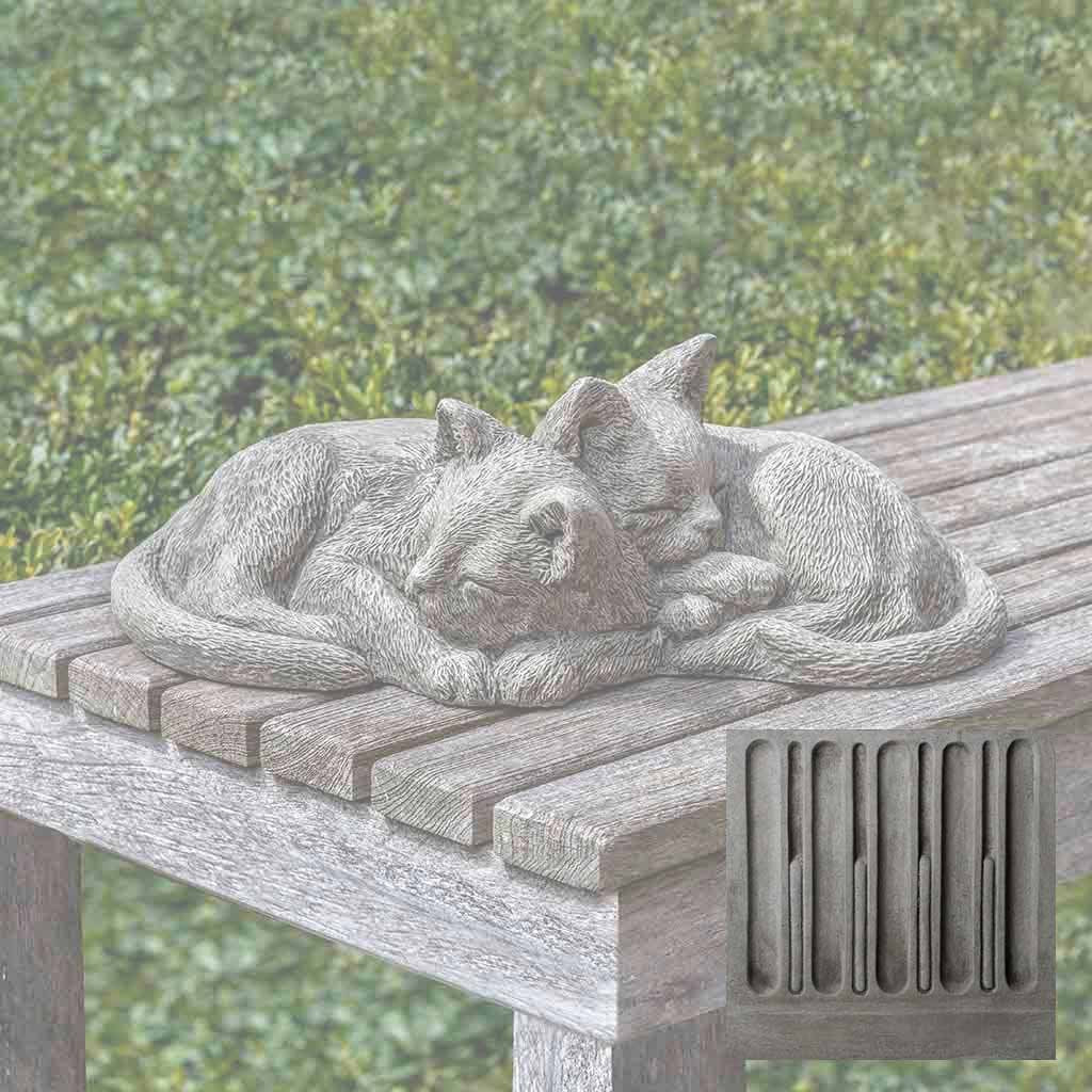 Nap Time Kittens - Image 7